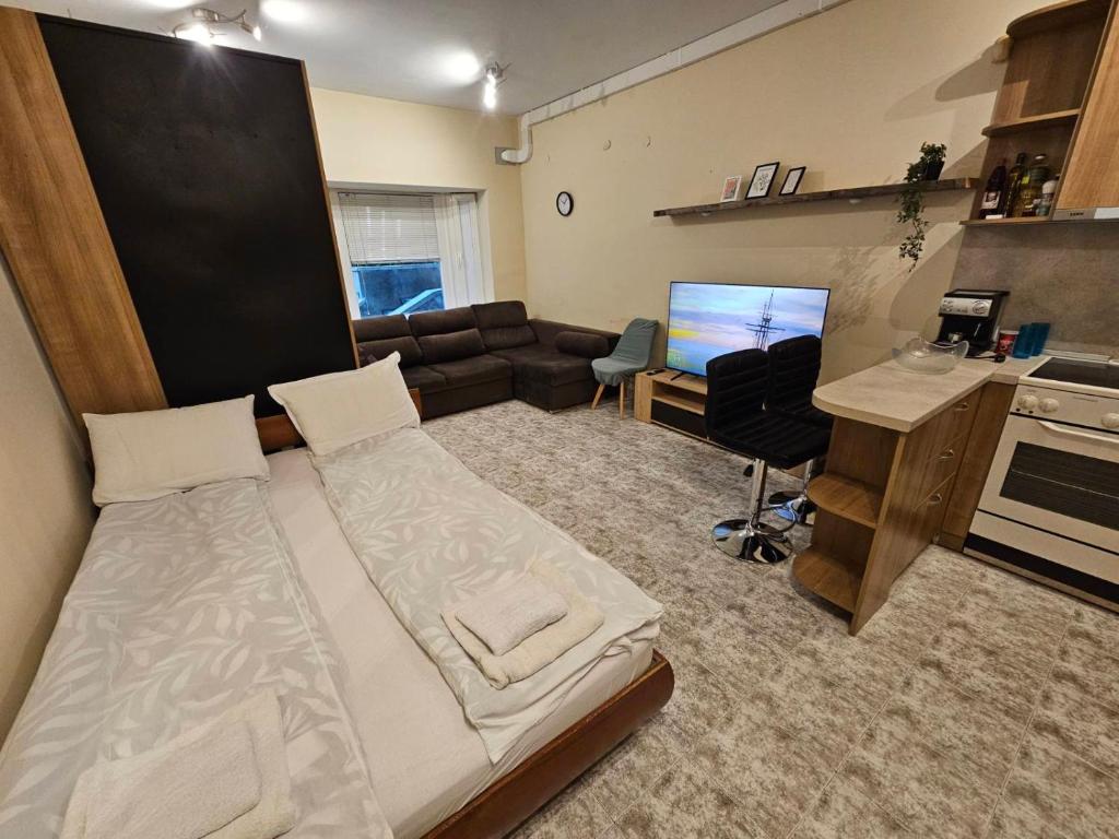 Bright and Cozy Studio w/ Garage near the Center.